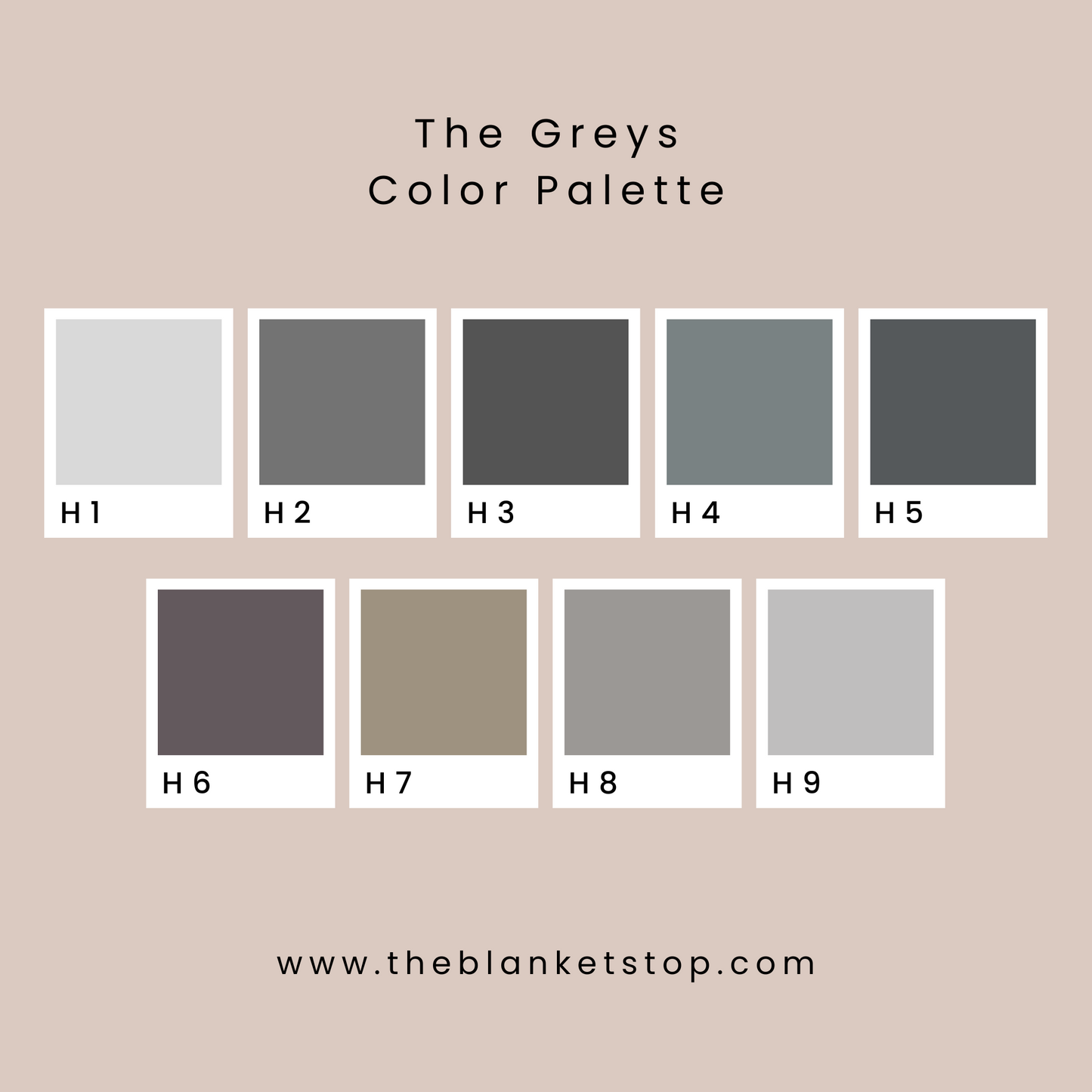 Personalized Minky - The Greys Color Palette